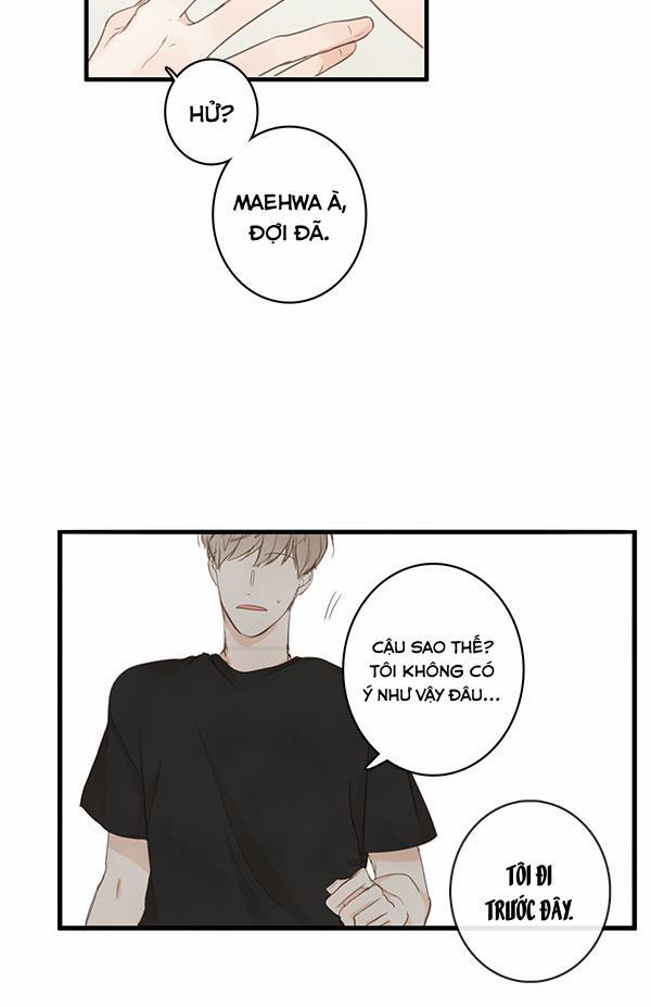 Táo (TĐTX) 24 trang 31