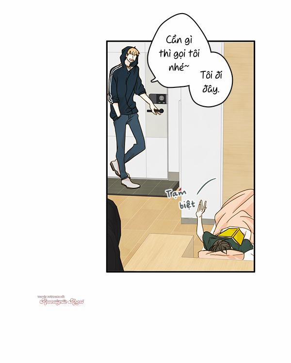 Táo (TĐTX) 24 trang 51