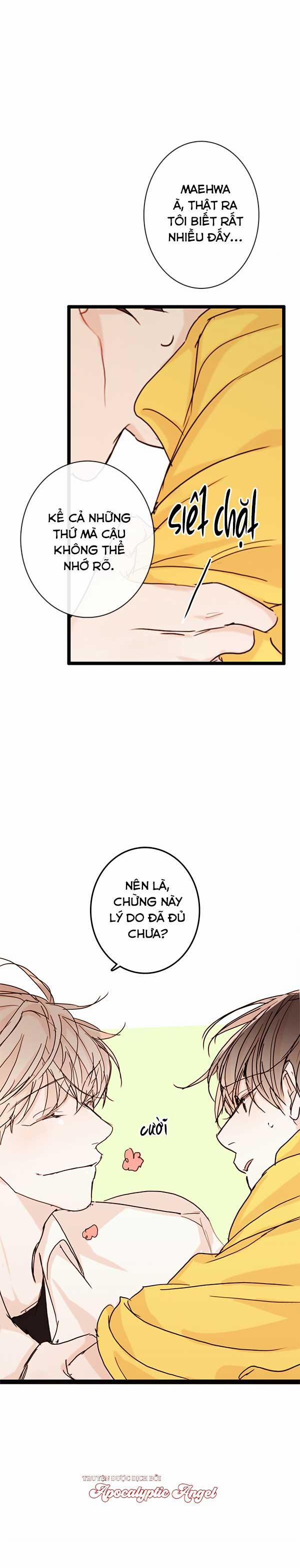 Táo (TĐTX) 25 trang 17