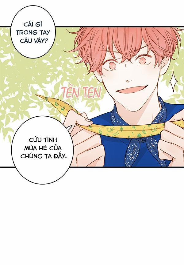 Táo (TĐTX) 29 trang 13