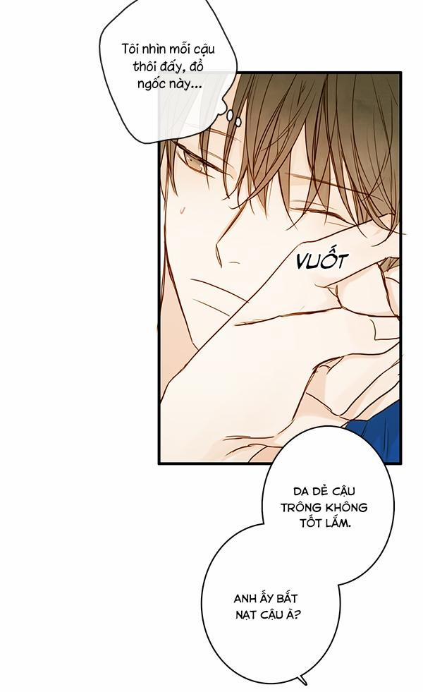 Táo (TĐTX) 31 trang 41