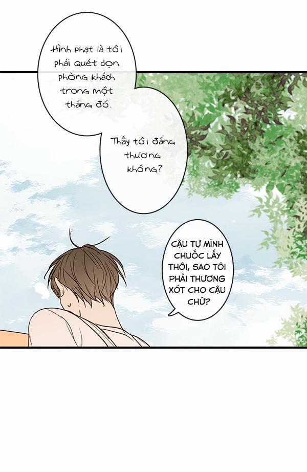 Táo (TĐTX) 35 trang 52