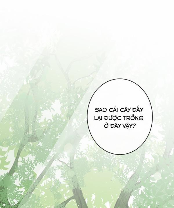 Táo (TĐTX) 36 trang 34