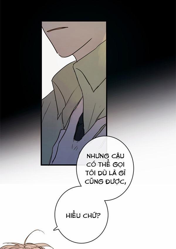 Táo (TĐTX) 41 trang 16