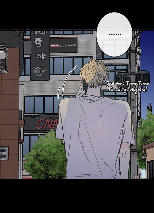 Táo (TĐTX) 41 trang 19