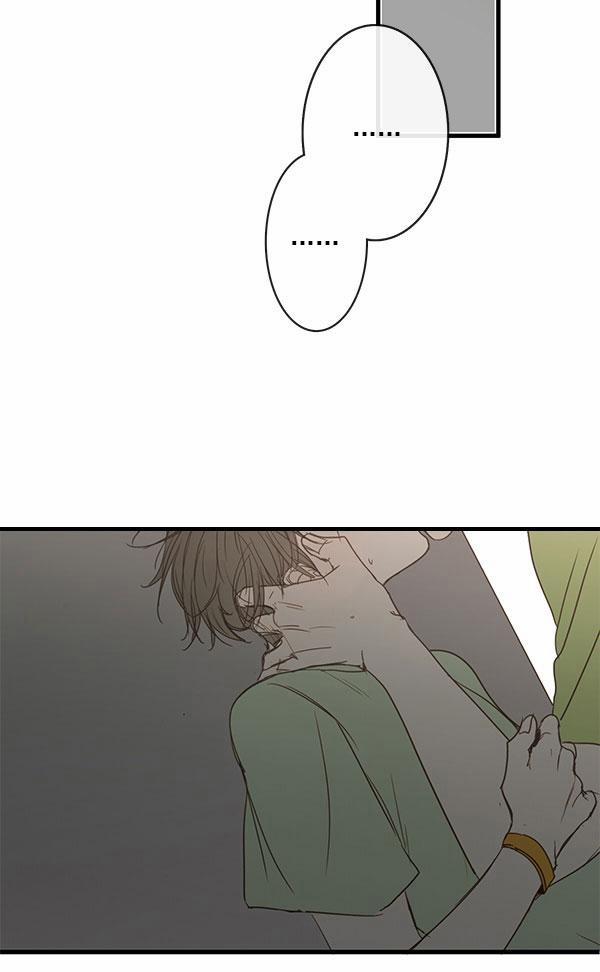 Táo (TĐTX) 44 trang 3