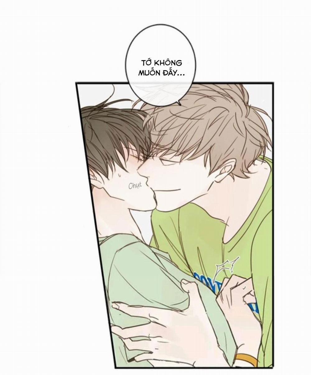 Táo (TĐTX) 44 trang 6