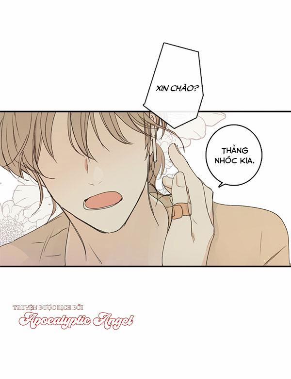 Táo (TĐTX) 46 trang 28