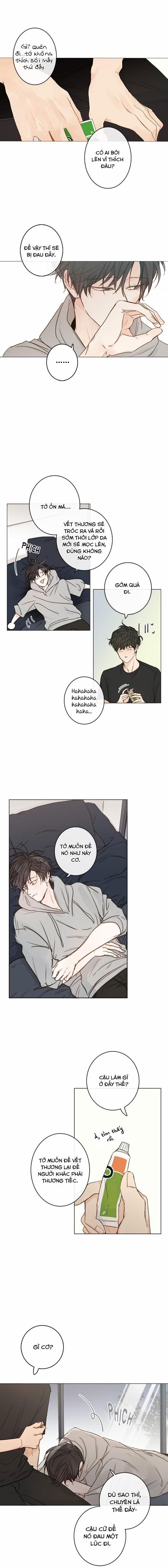 Táo (TĐTX) 48 trang 3