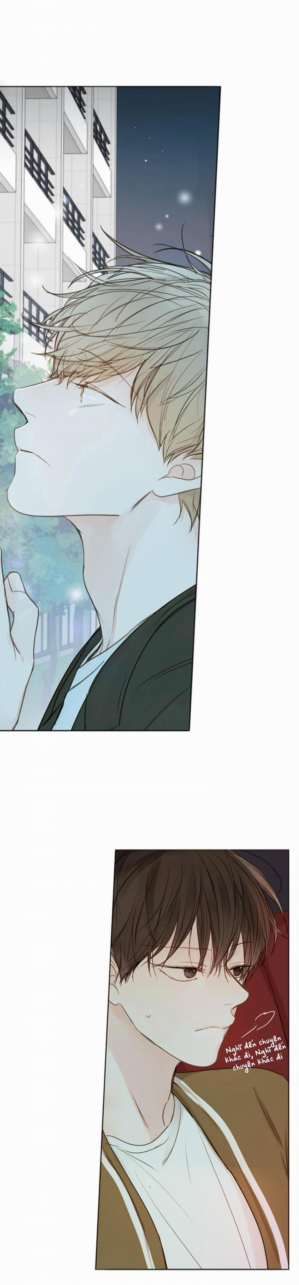 Táo (TĐTX) 50 trang 19