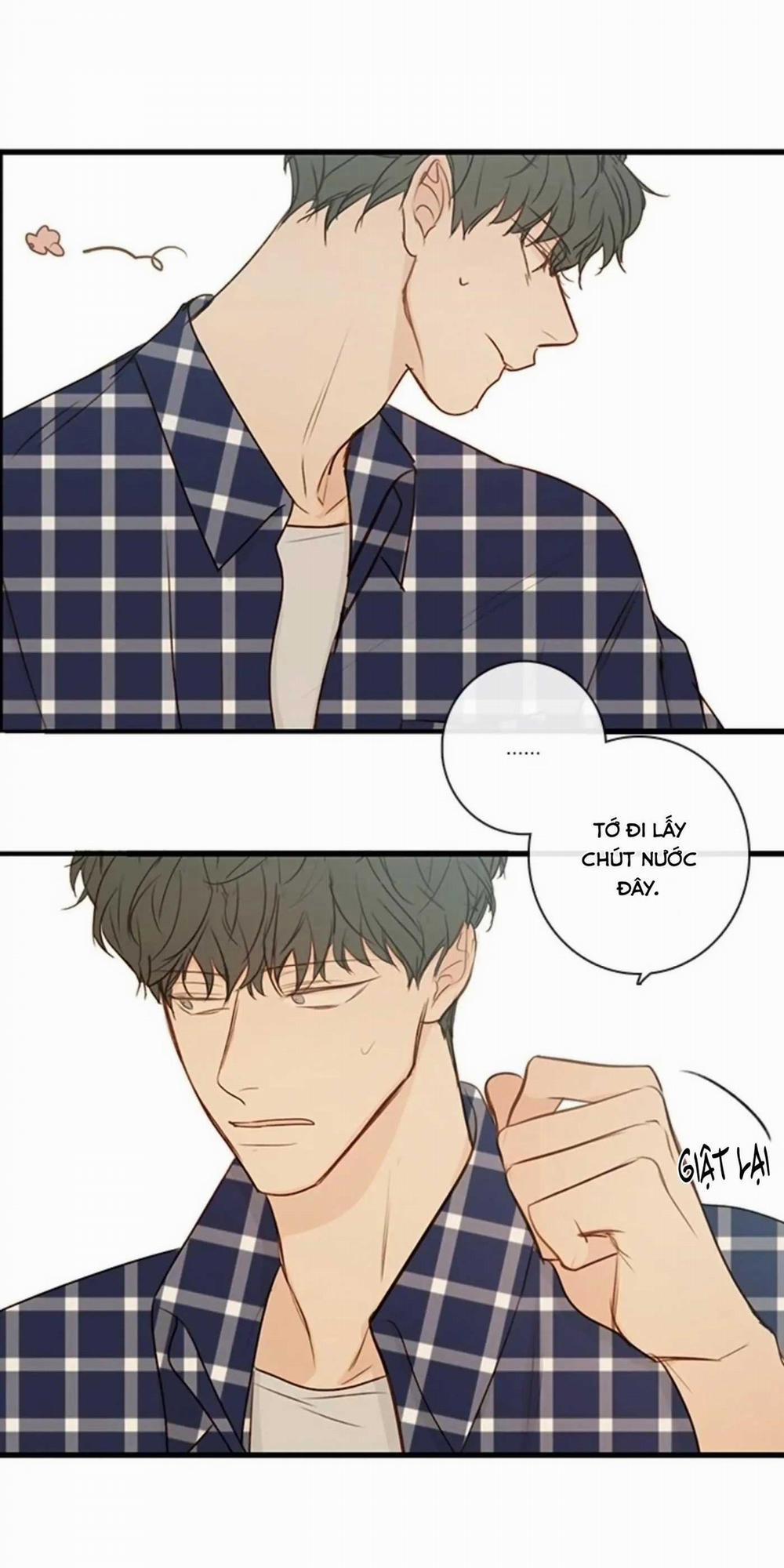 Táo (TĐTX) 65 trang 13