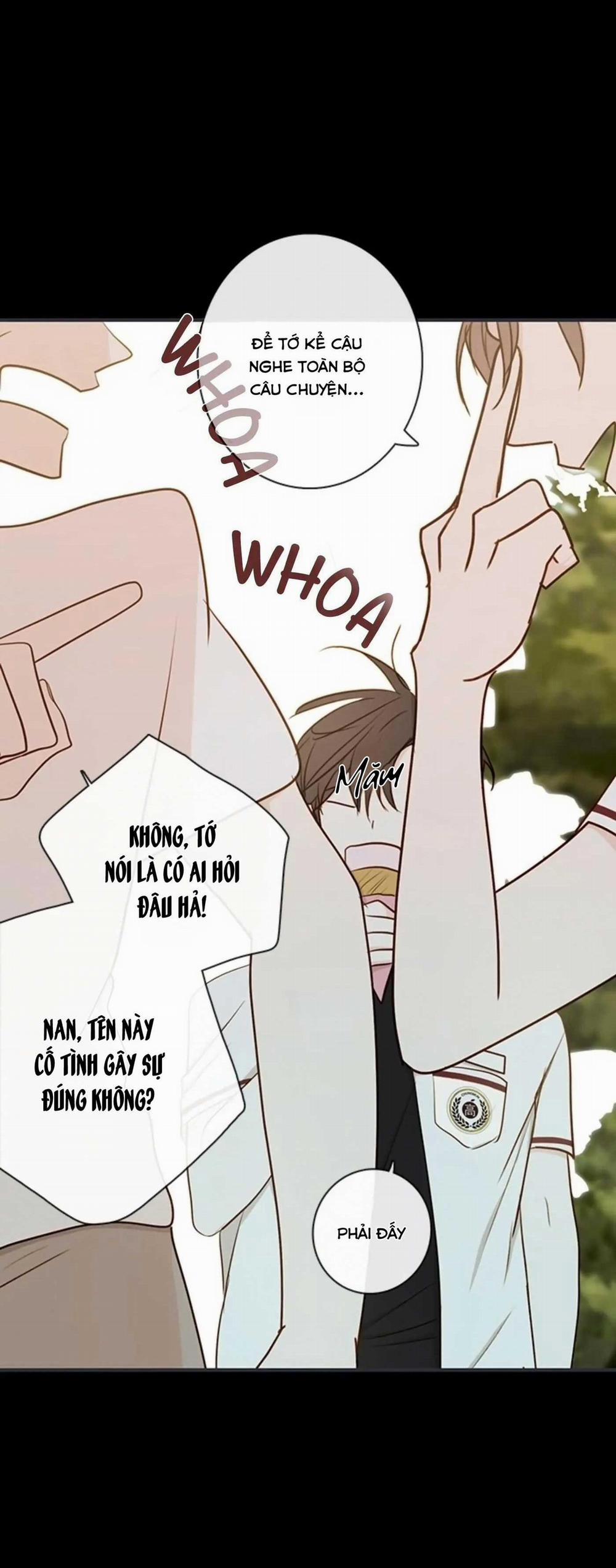 Táo (TĐTX) 65 trang 19