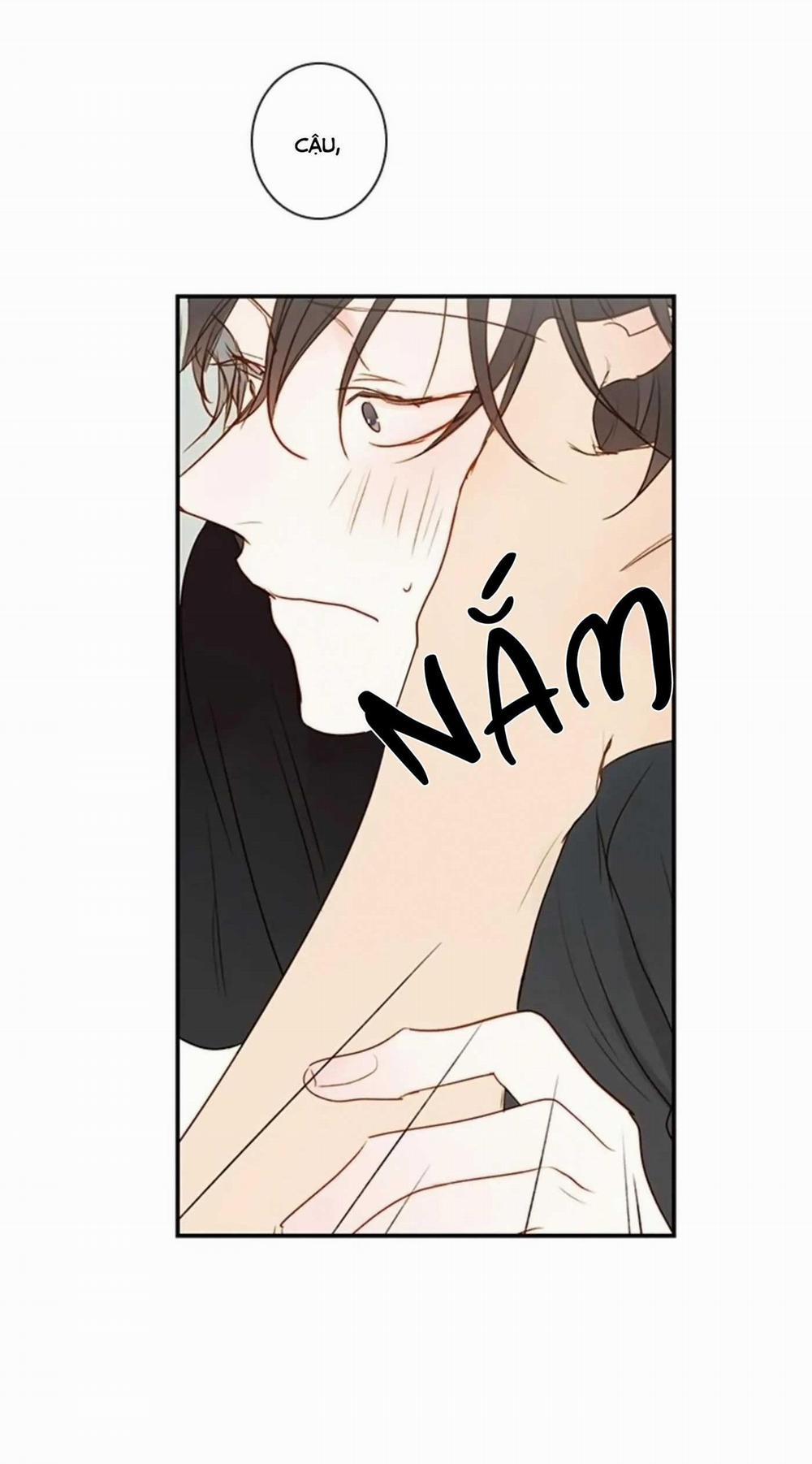 Táo (TĐTX) 65 trang 37