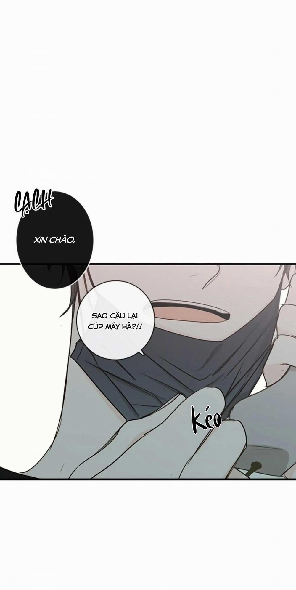 Táo (TĐTX) 66 trang 44