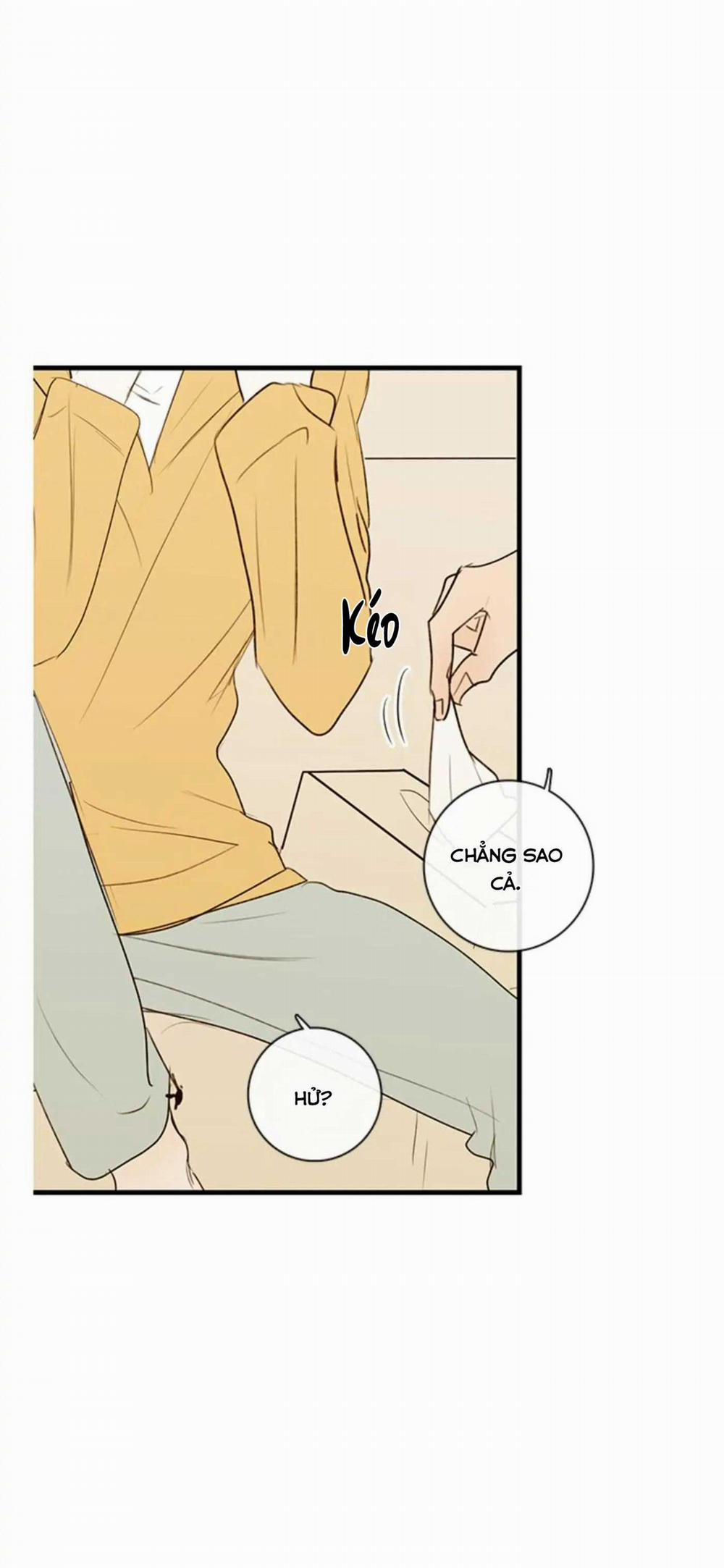 Táo (TĐTX) 67 trang 16