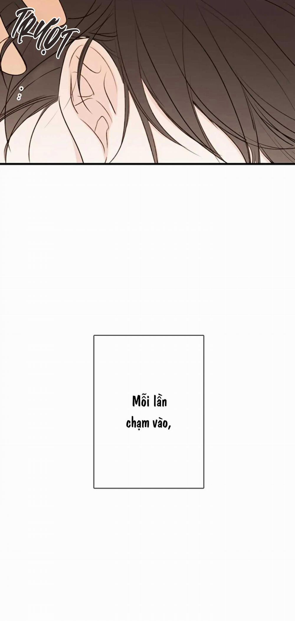 Táo (TĐTX) 67 trang 6