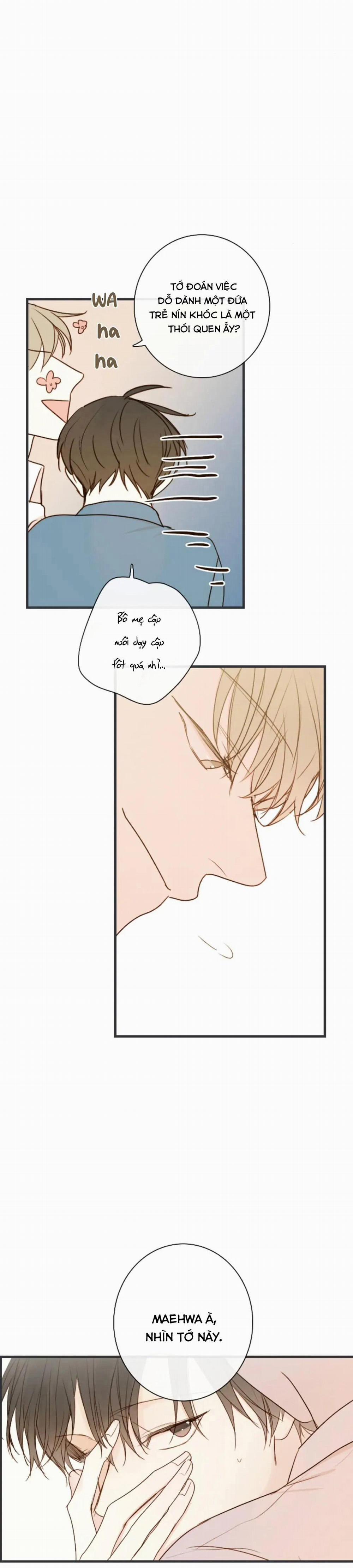 Táo (TĐTX) 72 trang 11