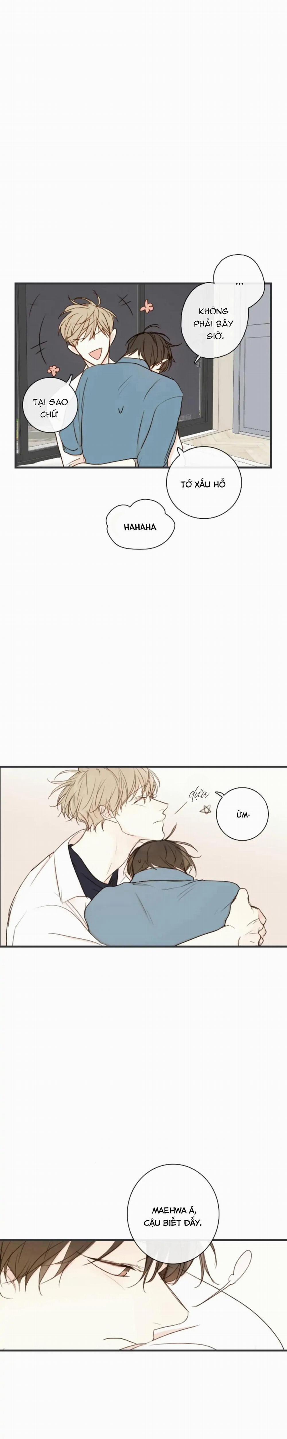 Táo (TĐTX) 72 trang 13