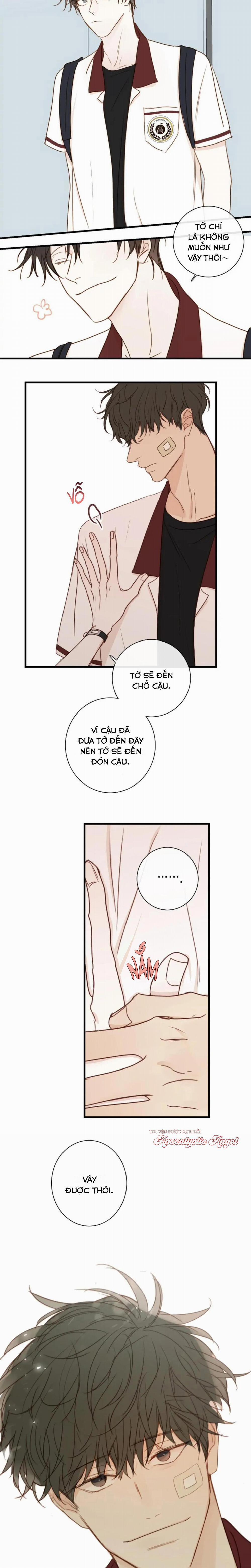 Táo (TĐTX) 75 trang 12