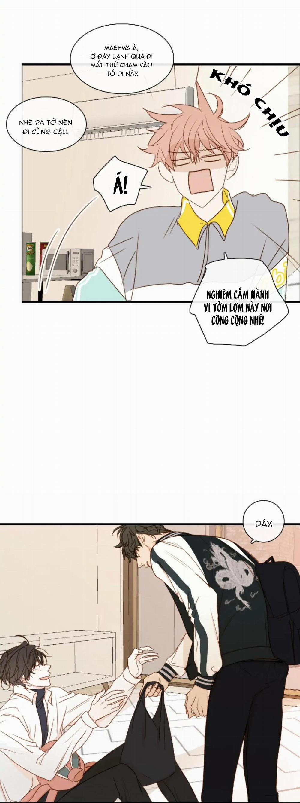 Táo (TĐTX) 76 trang 21