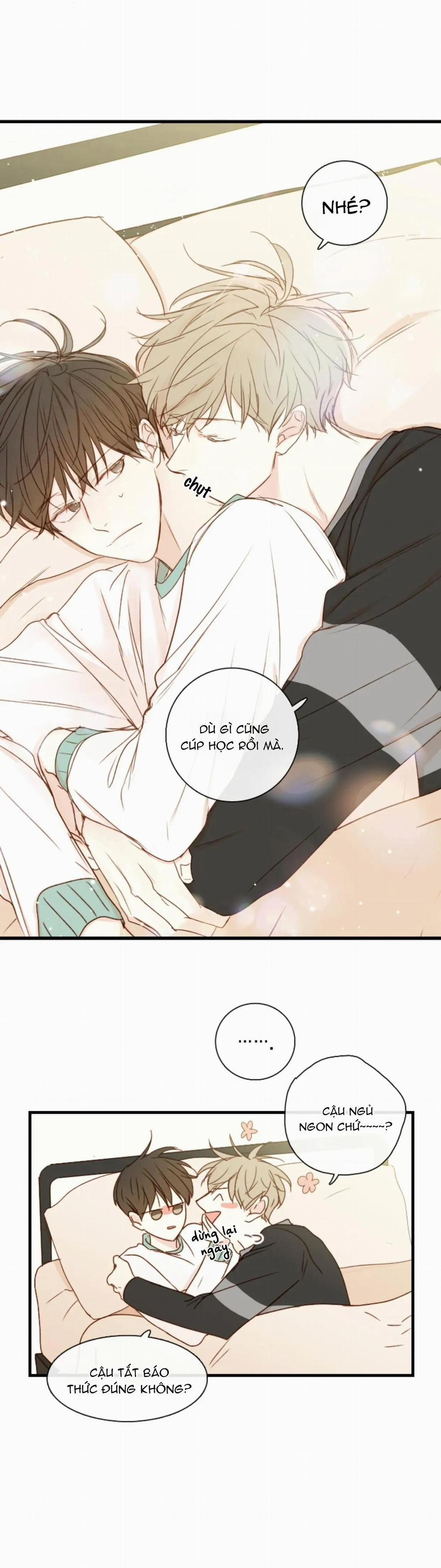 Táo (TĐTX) 76 trang 8