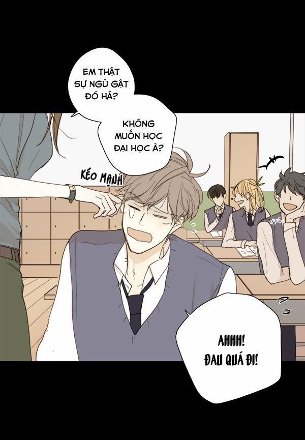 Táo (TĐTX) 8 trang 24