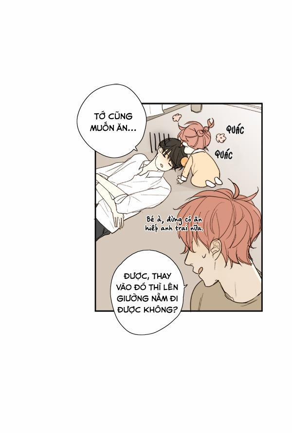 Táo (TĐTX) 8 trang 40