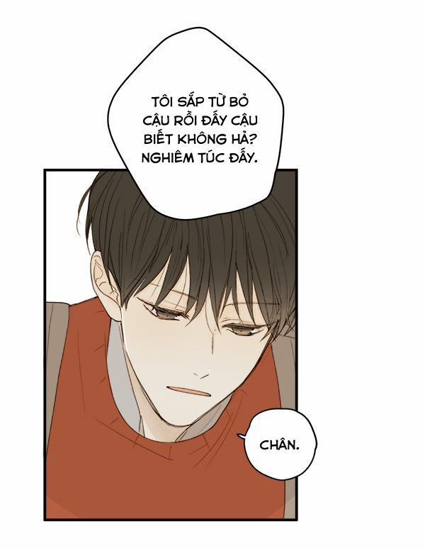 Táo (TĐTX) 9 trang 45