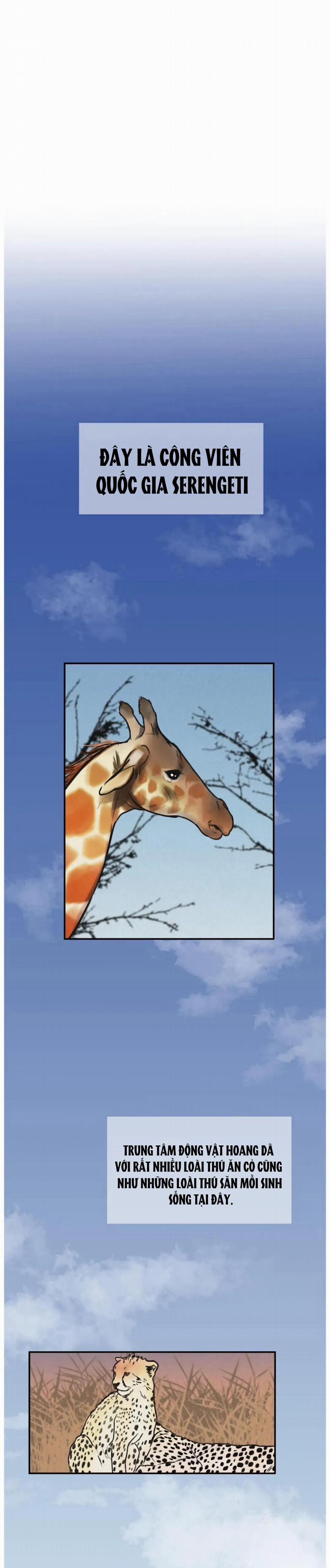 Tập Manhwa Ngắn Xôi Thịt 18+ 35 trang 5