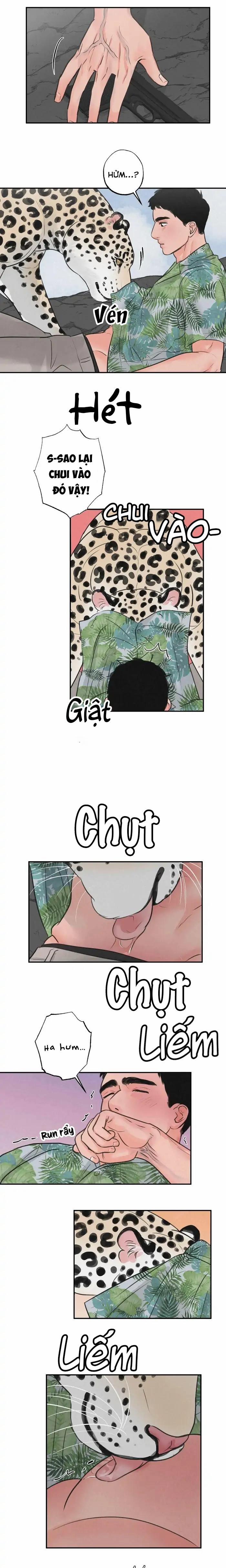 Tập Manhwa Ngắn Xôi Thịt 18+ 39 trang 11