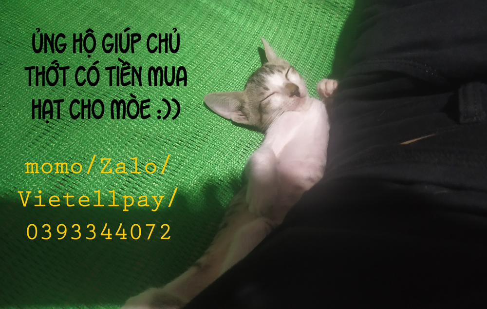 tapestry-chúng ta đâu phải anh em? 2 trang 1