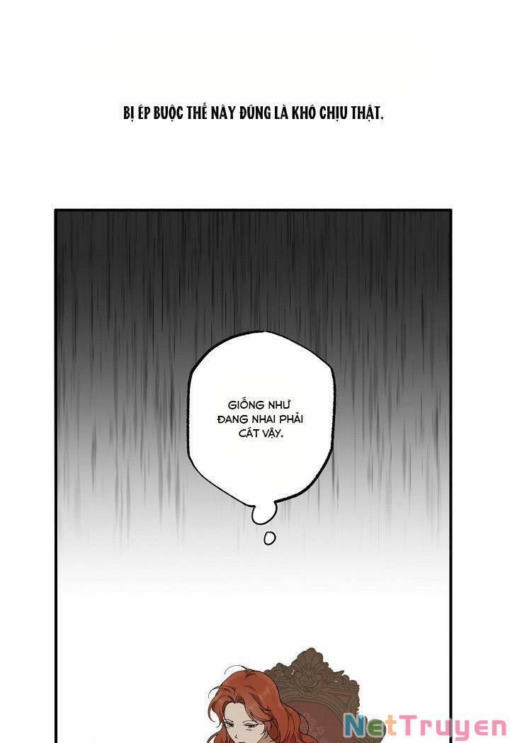 Tất Cả Chỉ Là Sai Lầm 52 trang 33