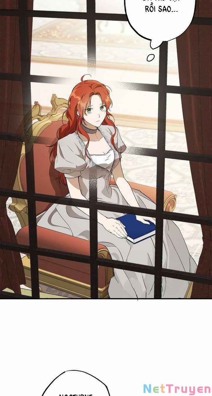 Tất Cả Chỉ Là Sai Lầm 57 trang 27