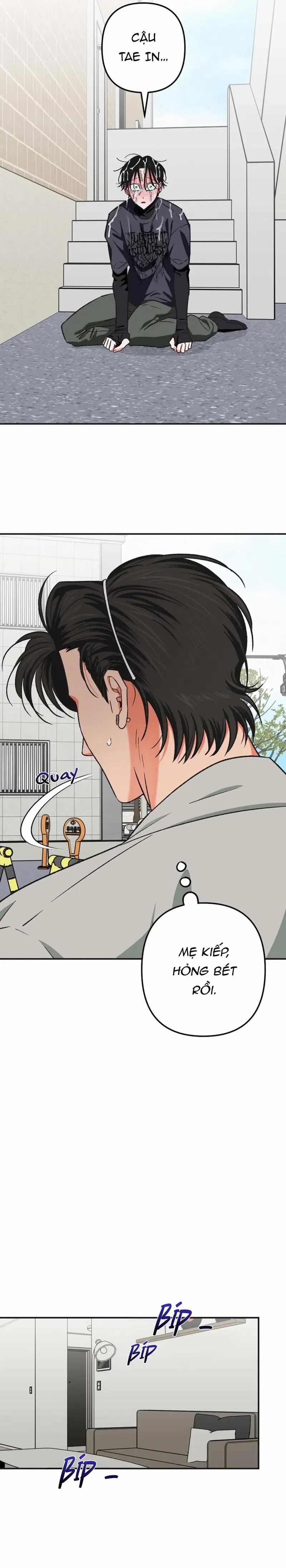 Tất Cả Là Tại Cậu, Đồ Chó Chết! 3 trang 1