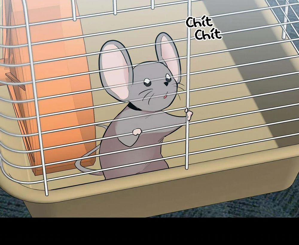 Tất Cả Phản Diện Đều Là Đồ Ngốc 11 trang 51