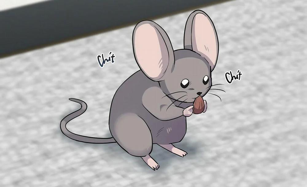 Tất Cả Phản Diện Đều Là Đồ Ngốc 13 trang 1