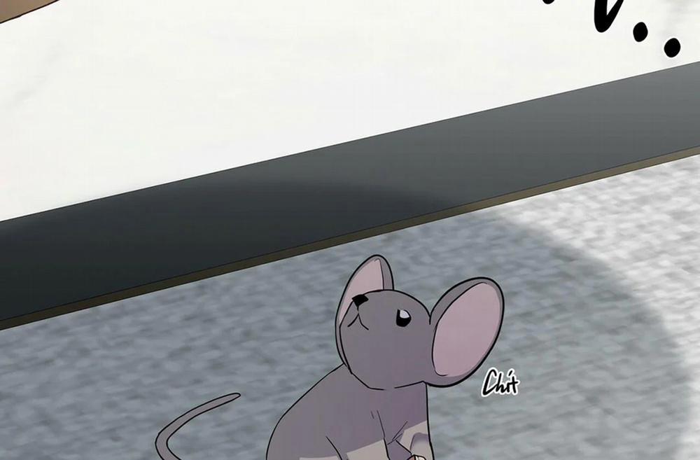 Tất Cả Phản Diện Đều Là Đồ Ngốc 13 trang 3