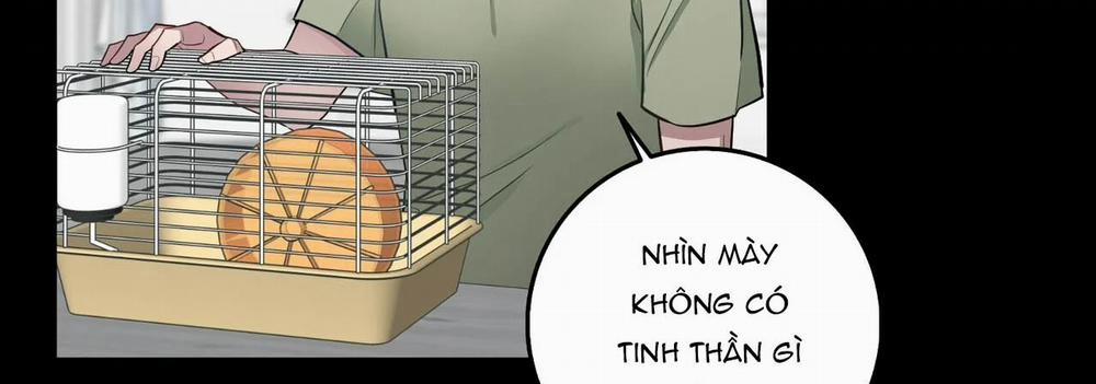 Tất Cả Phản Diện Đều Là Đồ Ngốc 32 trang 242