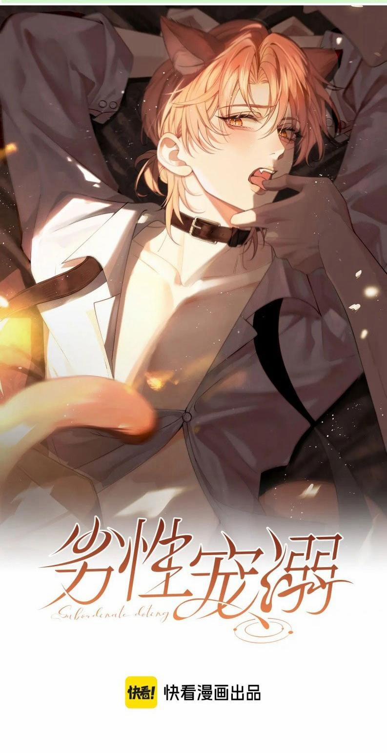 Tật Xấu Nuông Chiều 28 trang 0