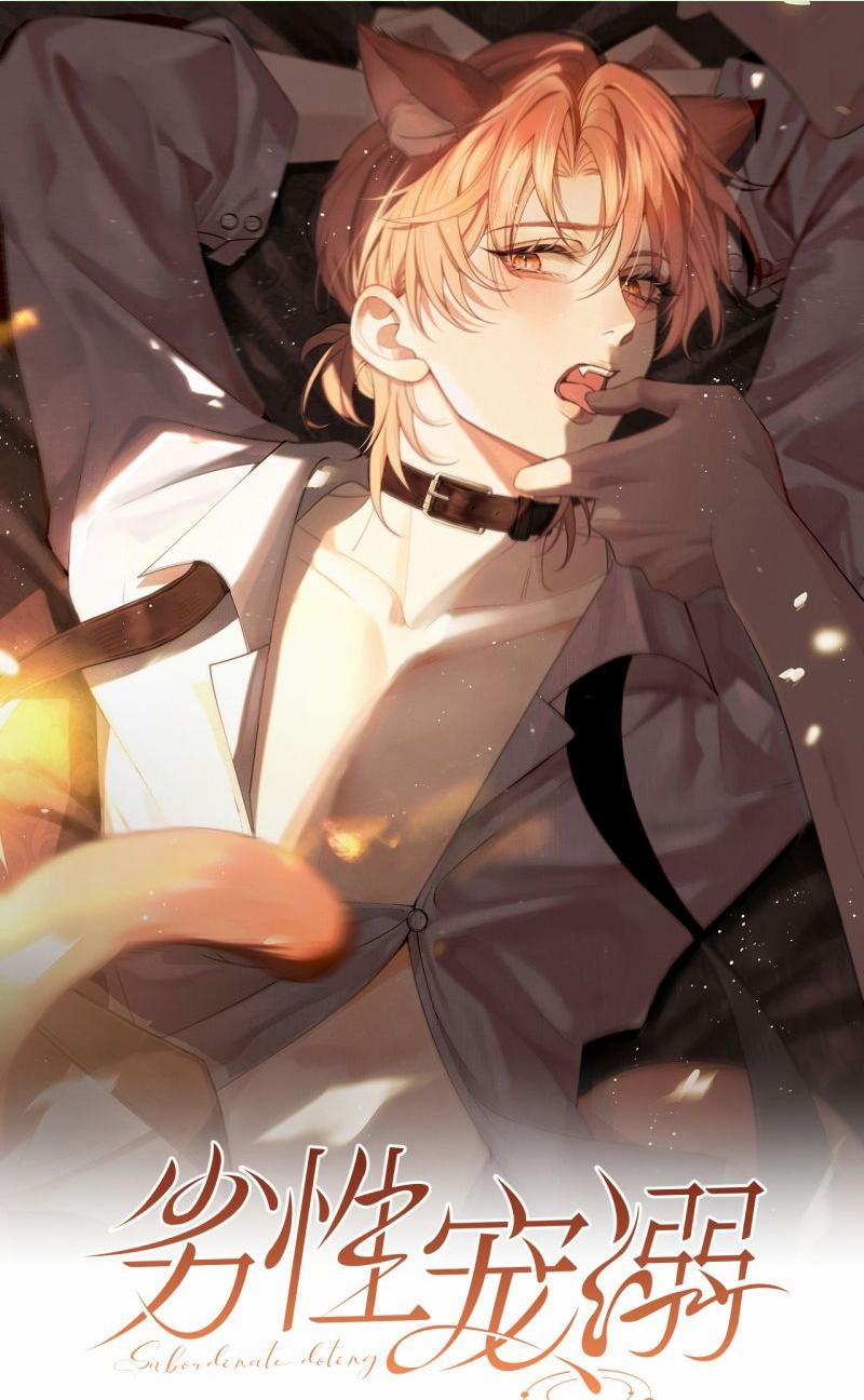 Tật Xấu Nuông Chiều 29 trang 0