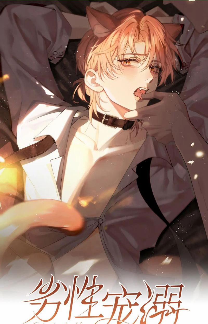 Tật Xấu Nuông Chiều 9 trang 0