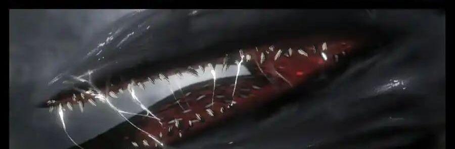 Tây Du Ký Ngoại Truyện 304 trang 10