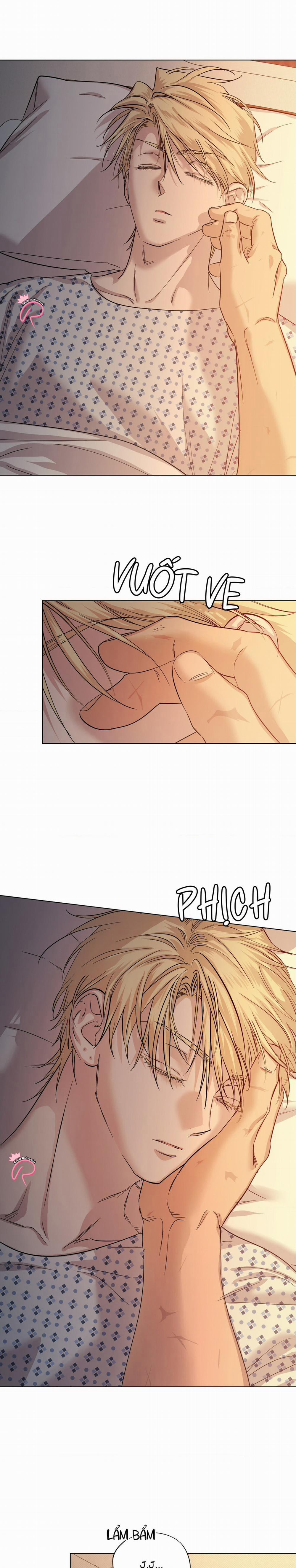 Tay Đua Đẳng Cấp 12 trang 4