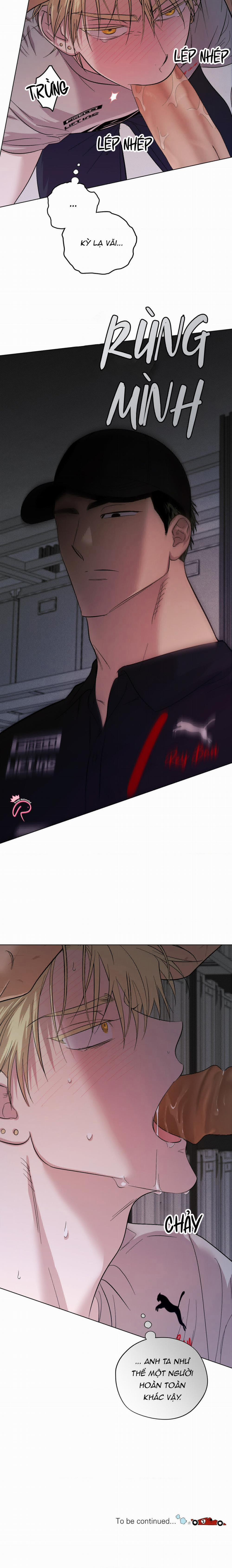 Tay Đua Đẳng Cấp 13 trang 17