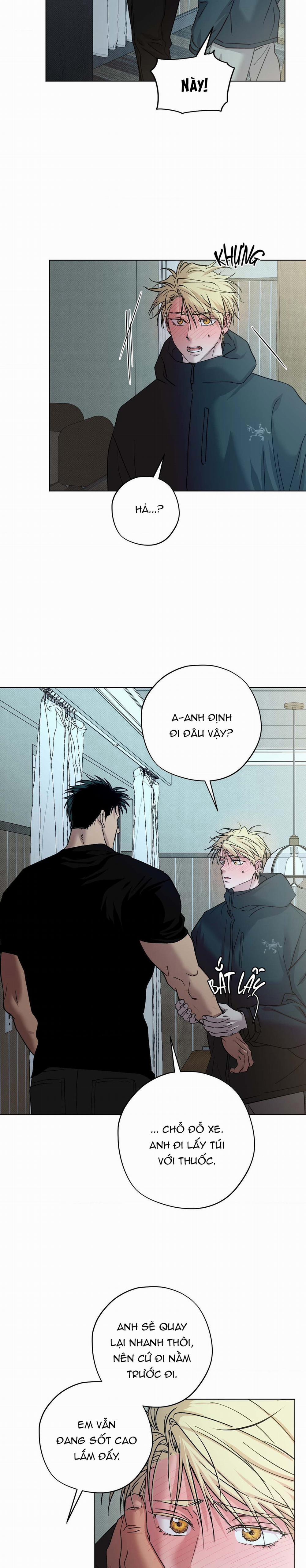 Tay Đua Đẳng Cấp Ngoại Truyện 8 trang 17