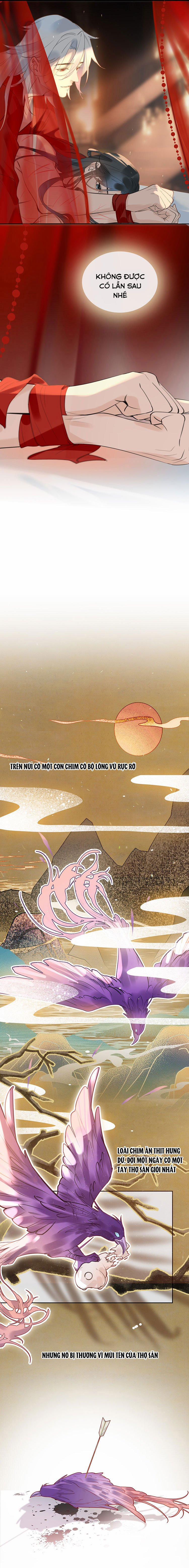 Tế Vũ Bất Tri Quy 8 trang 2