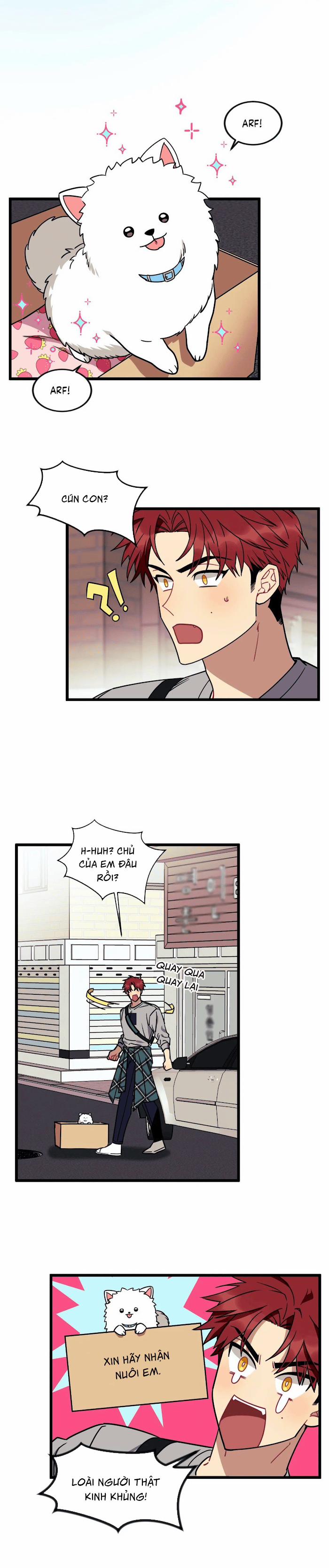 Tell Me Your Wish 11 trang 15