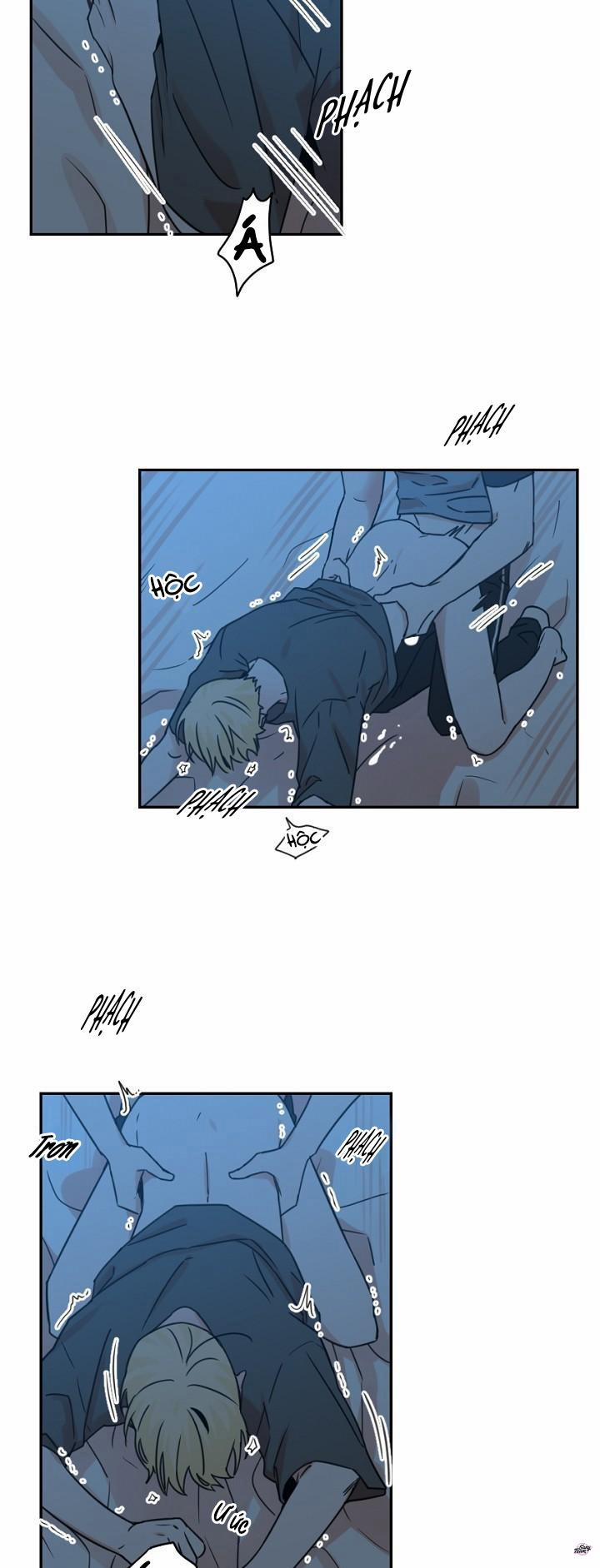 Tên Cậu Là Gì? 11 trang 17