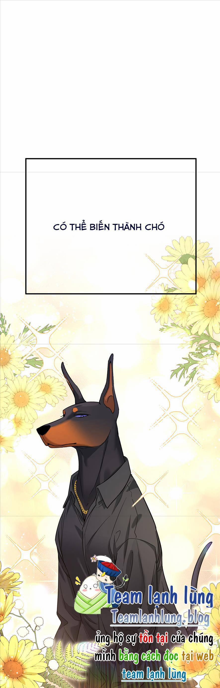 Tên Đàn Ông Này Thật Sự Là Một Tên Cẩu Mà 1 trang 3