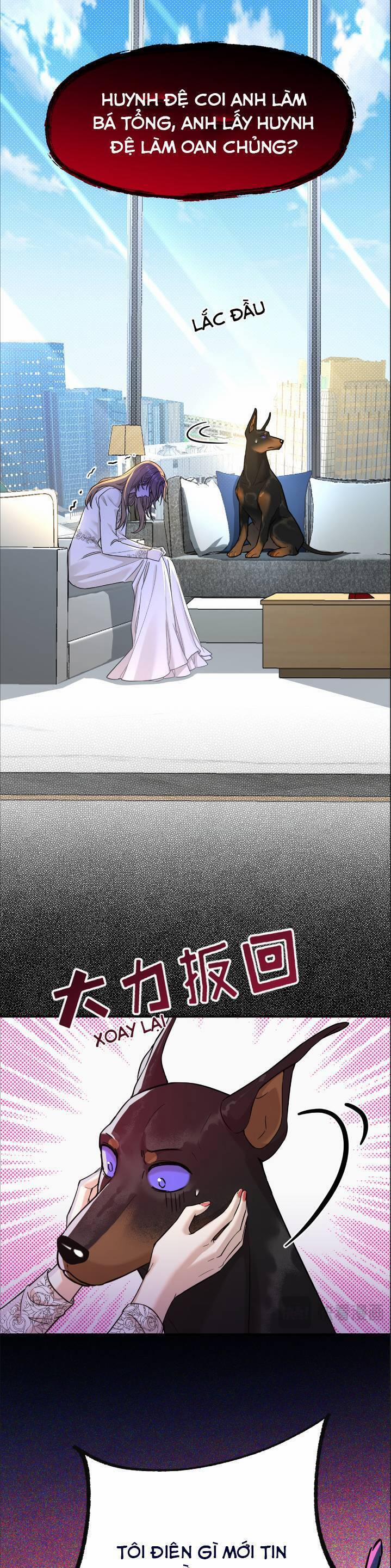 Tên Đàn Ông Này Thật Sự Là Một Tên Cẩu Mà 4 trang 21